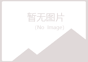 阳江晓夏能源有限公司